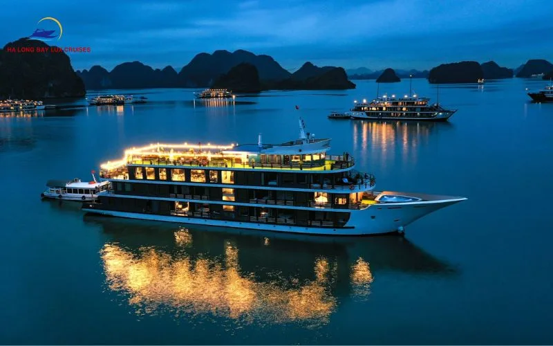Reasons for the Halong Bay Vietnam Bioluminescence