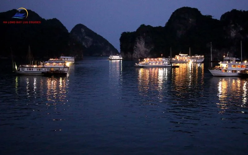 Bai Tu Long Bay is a prominent location for Halong Bay Vietnam bioluminescence
