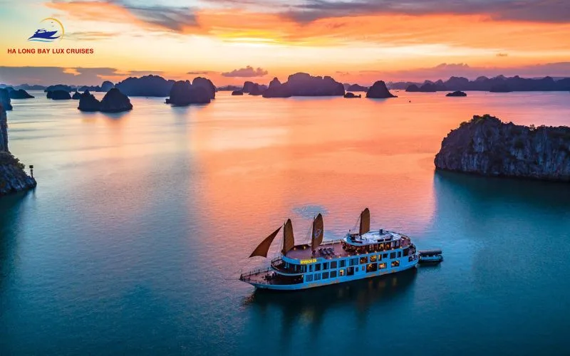 Experience tourism combined with the phenomenon of bioluminescence