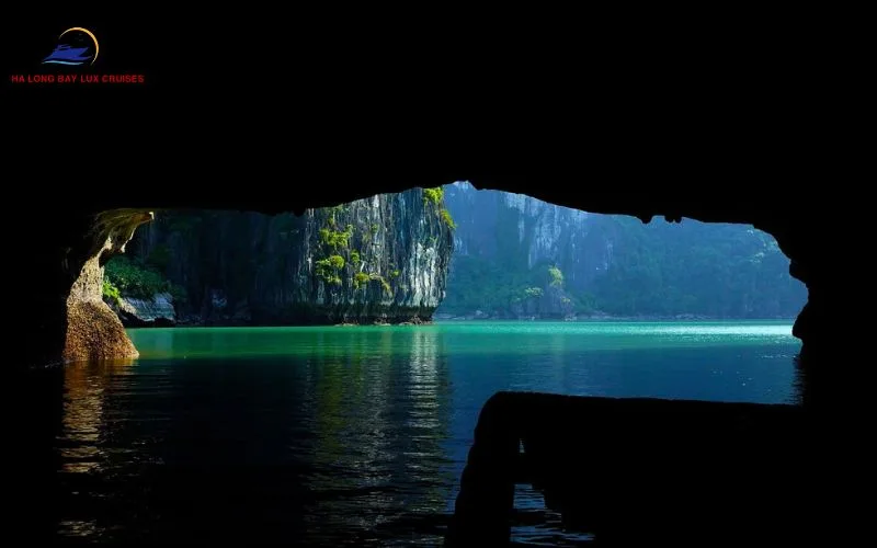 Notes on observing bioluminescence