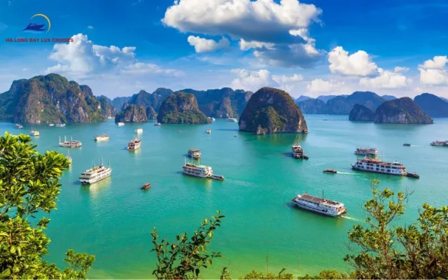 How to avoid Halong Bay cruise scams
