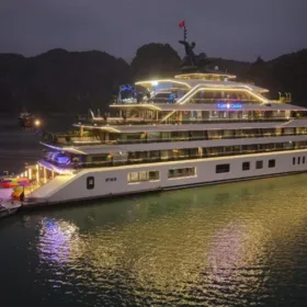 tulip-cruise