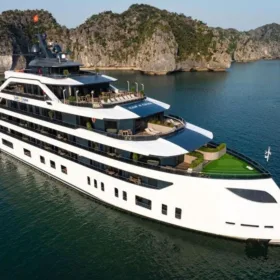 tulip-cruise