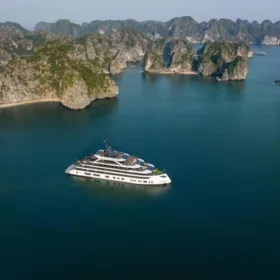 tulip-cruise