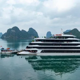 Halora Nova Cruise