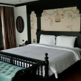 Halora Suite