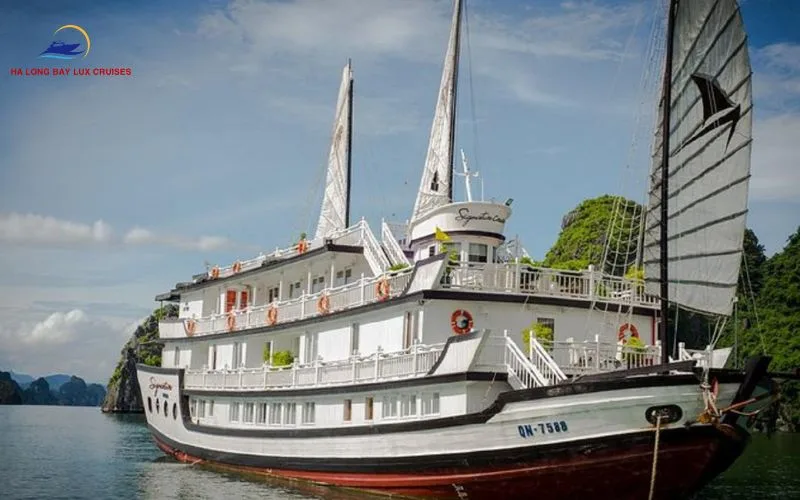 Why choose a day cruise in Bai Tu Long Bay?