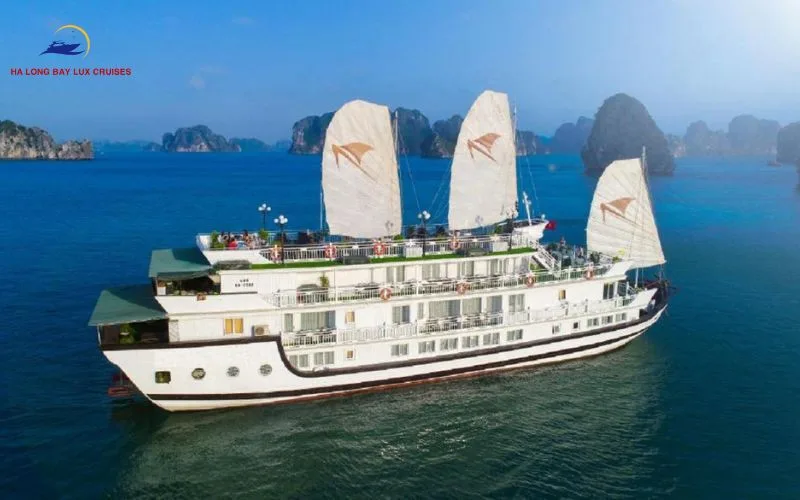 Highlights of the 6-Hour Bai Tu Long Bay Cruise Tour