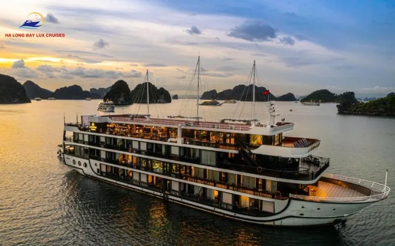 The Definitive Review of La Regina Grand Cruise: 2026 Architectural Mastery