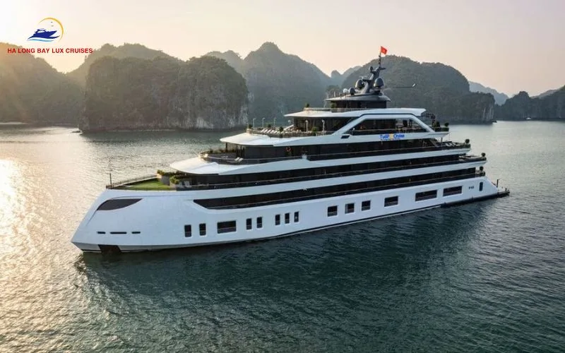 The Next-Generation Fleet: Understanding Tulip Cruise by HAG
