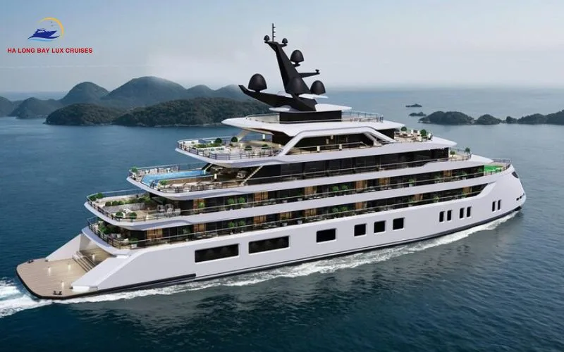 A Class of Its Own: Dora Tulip Cruise 5 Star vs. The Industry Standard