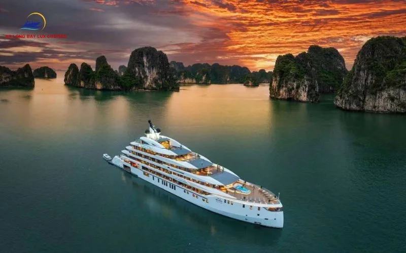 Nautical Pathways: Navigating Tulip Cruise Halong Bay