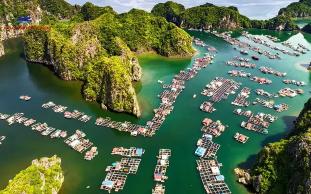 Floating Market Halong Bay: Cultural Myth vs. Local Reality