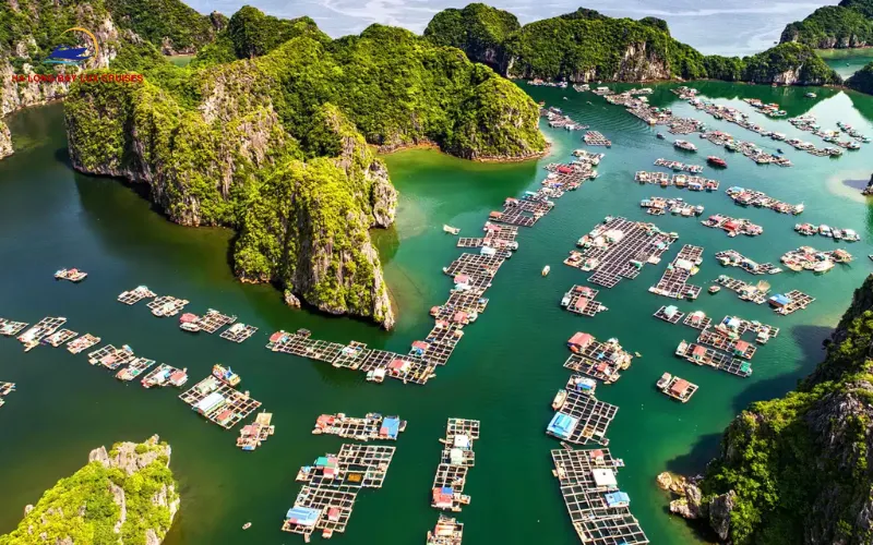 Floating Market Halong Bay: Cultural Myth vs. Local Reality