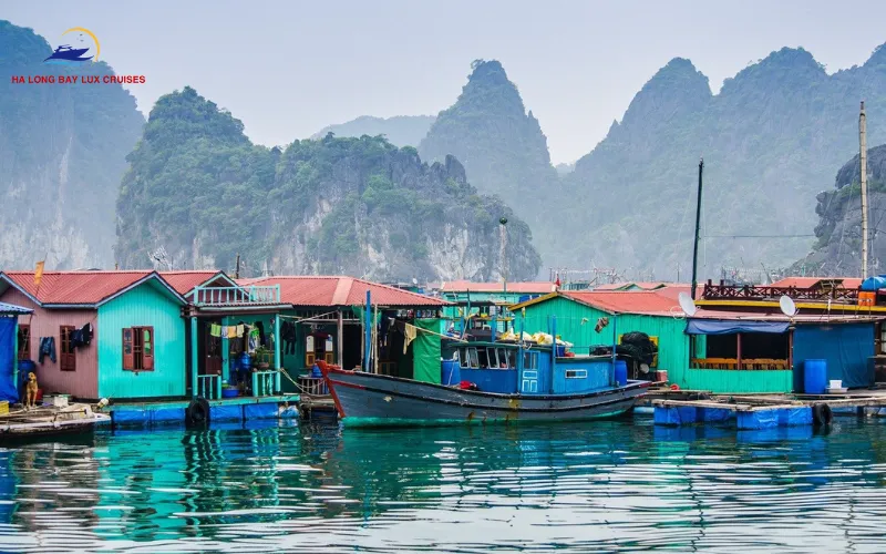 The Honest Truth About the Floating Market Ha Long Experience