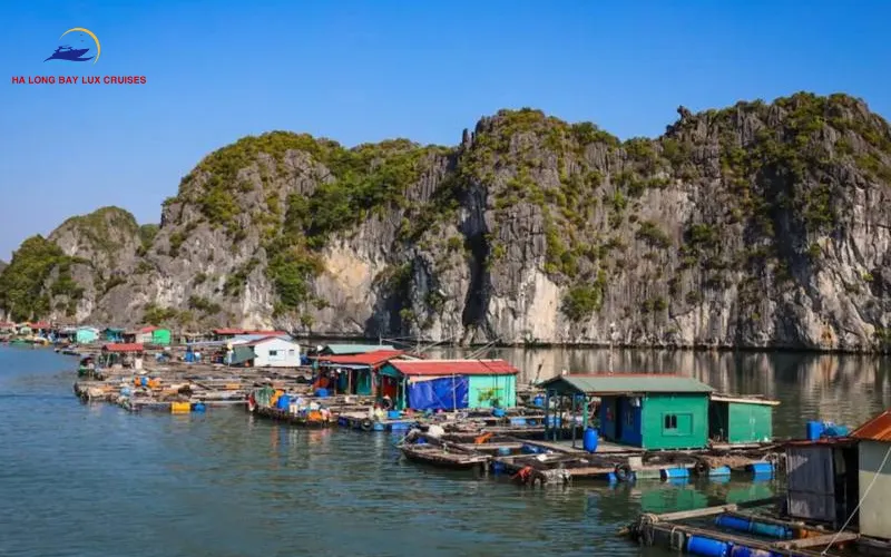 The Top Floating Fishing Village Halong Bay Has to Offer
