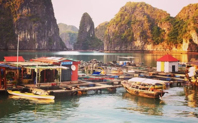 Dynamic Activities at These Pristine Floating Structures