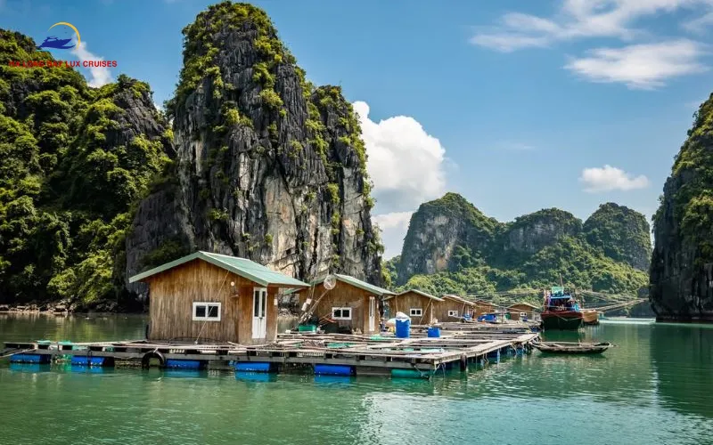 Essential Survival Tips for First-Time International Visitors