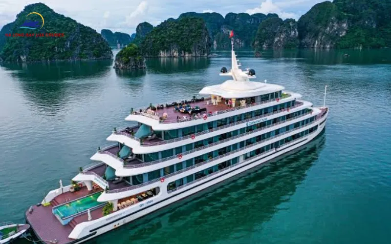 Honest Catherine Cruise Review: Insights from International Guests
