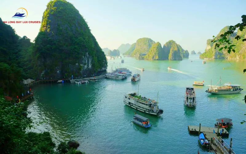 Essential Ha Long Bay Cruise Tips & Hidden Fees Warning