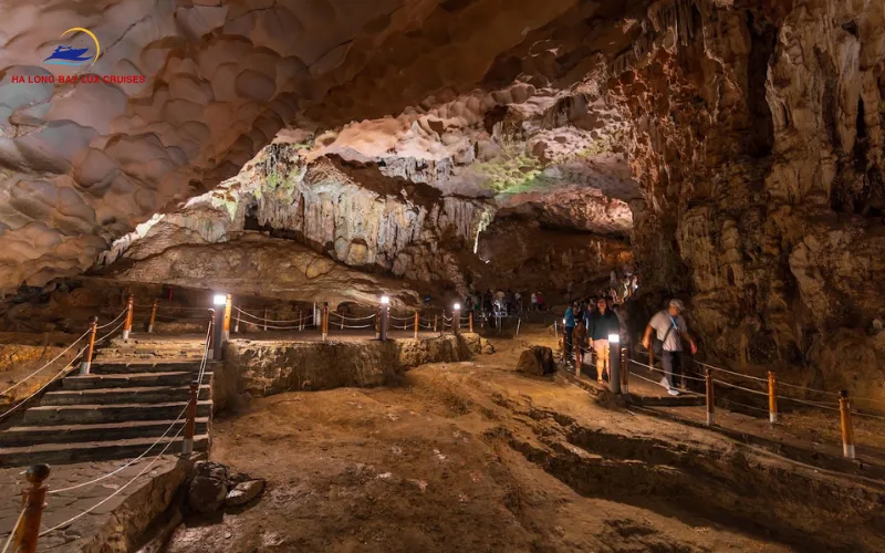 Sung Sot Cave Steps & Secrets: VIP 2026 Tour | Ha Long Bay Luxcruises