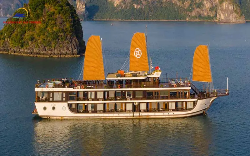 Book Your Catherine Cruise 2D1N Tour Today