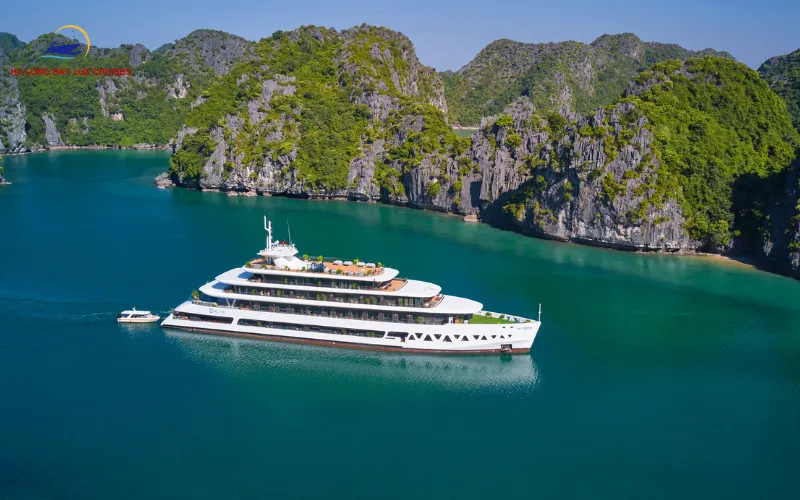 What Makes the Elite of the Seas Infinity Pool Unique?