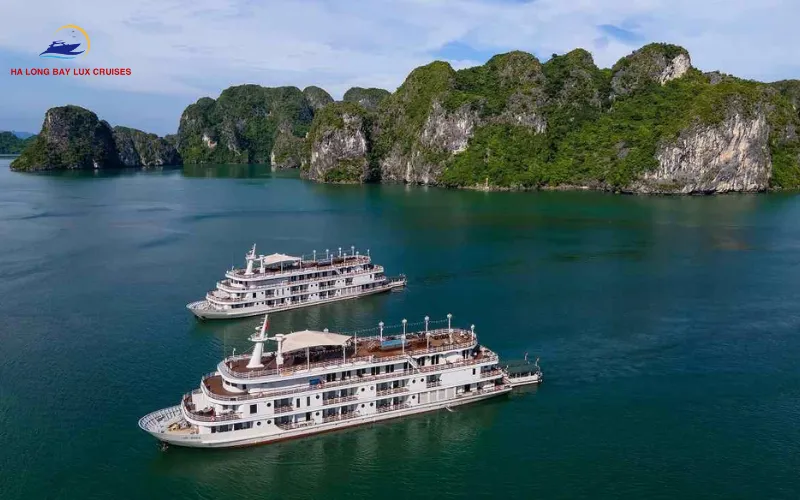 Paradise Elegance Cruise Luxury Experience: Official 5-Star Review & Guide