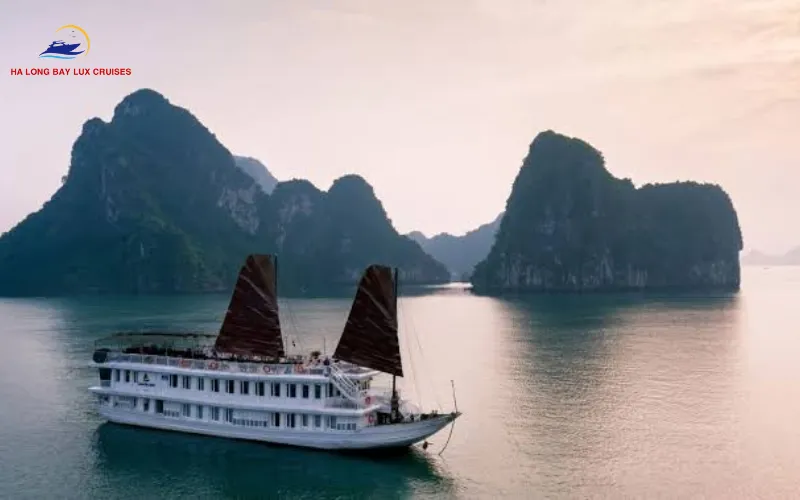 Are Minibar Drinks Free or Charged on 5-Star Cruises