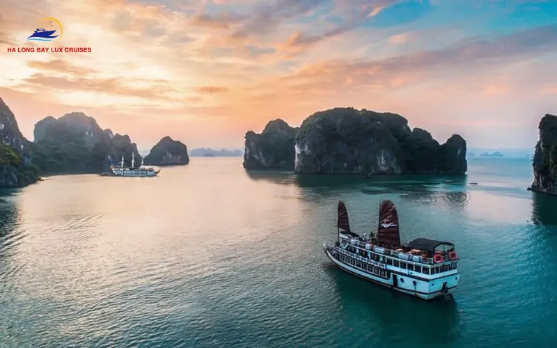 Expert Tips to Enjoy In-Room Beverages Onboard