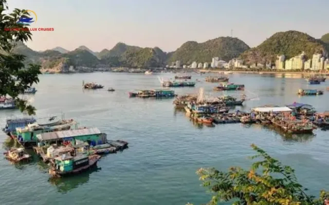 Cat Ba Island Local Traditions: Discovering the Cultural Heart of Lan Ha Bay