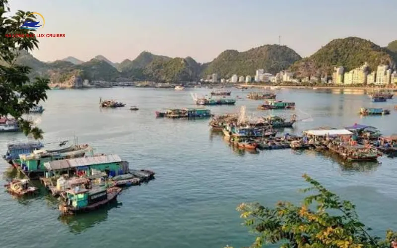 Cat Ba Island Local Traditions: Discovering the Cultural Heart of Lan Ha Bay