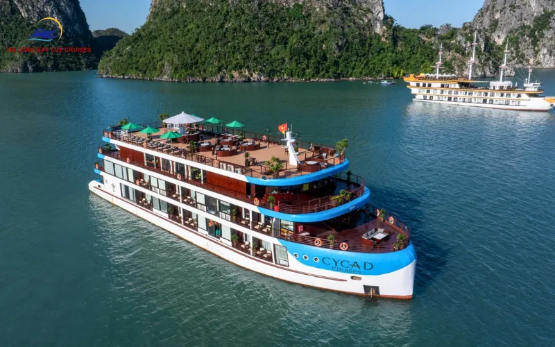 Cycad Cruise Food Menu: A Culinary Journey in Bai Tu Long Bay