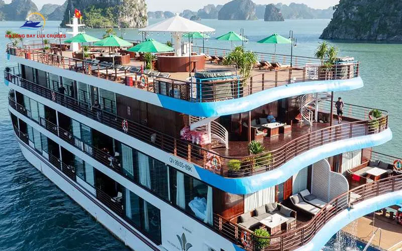 The Culinary Philosophy of Cycad Cruise