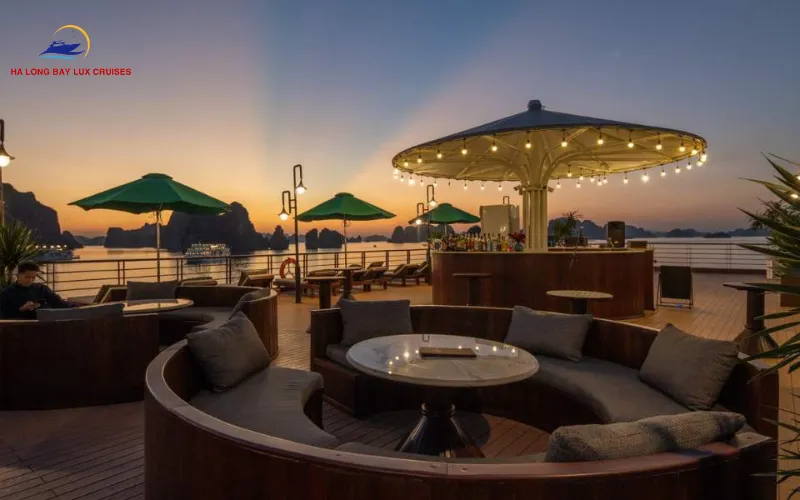 What Do Guests Say? Cycad Cruise Food Review Insights