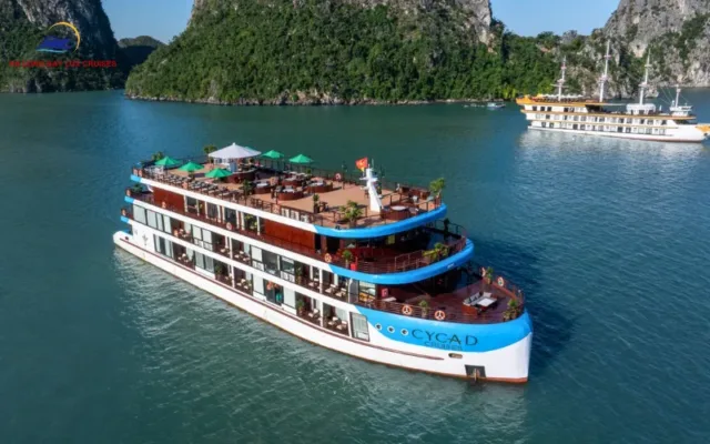 Cycad Cruise Spa and Wellness: Complete Rejuvenation on the Bay