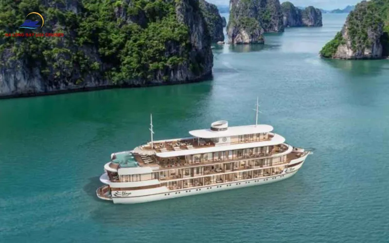 How 5-Star Fleets Elevate Your Lan Ha Bay Night Cruise